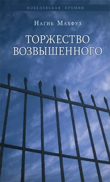 Admin Торжество возвышенного обложка книги