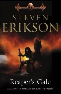 Steven Erikson Reaper's gale обложка книги