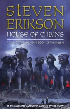 Steven Erikson House of Chains обложка книги