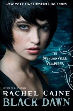 Rachel Caine Black Dawn обложка книги