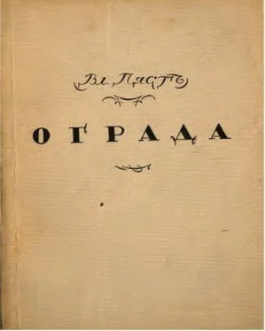 Владимир Пяст Собрание стихотворений обложка книги