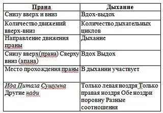 34 Изменения скорости Скорость перемещения праны внутри спинного мозга - фото 7