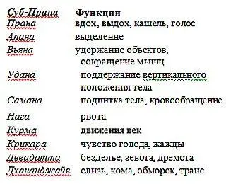 Глава 4 НадиВиджняна экспериментальный метод Аюрведы Краткий обзор - фото 8
