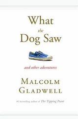 Malcolm Gladwell - What the Dog Saw