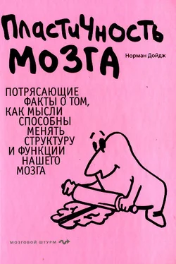 Норман Дойдж Пластичность мозга обложка книги