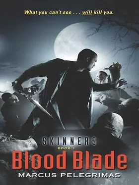 Marcus Pelegrimas Blood Blade обложка книги