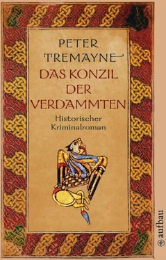 Peter Tremayne Das Konzil der Verdammten обложка книги