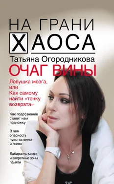 Татьяна Огородникова Очаг вины обложка книги