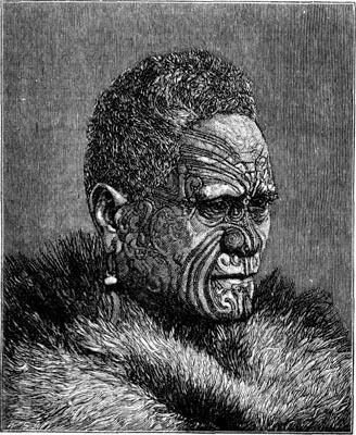 The Maori King Colonel Wynyard acted as Governor for the time being and - фото 49