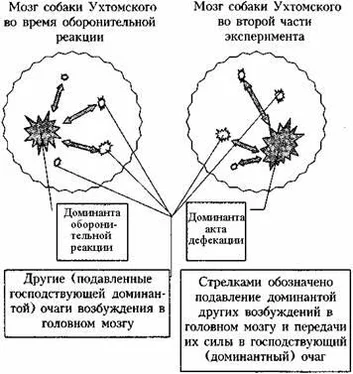 Андрей Курпатов Как избавиться от тревоги, депрессии и раздражительности обложка книги