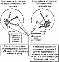 Андрей Курпатов - Как избавиться от тревоги, депрессии и раздражительности