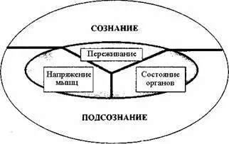 Рис 2 Три компонента любой эмоции Большинство стрессов с которыми - фото 2