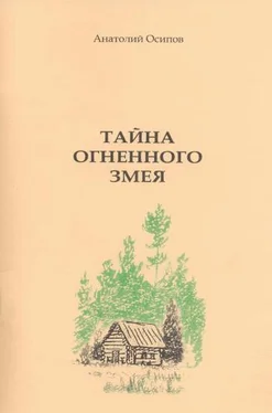 Анатолий Осипов Тайна огненного змея обложка книги