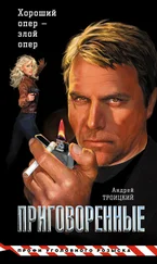 Андрей Троицкий - Приговоренные