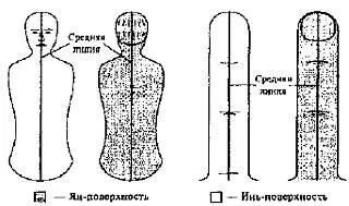 Рис 8 Средняя линия на пальце кисти На Янповерхности вдоль средней линии - фото 7