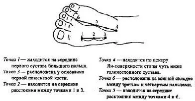 Рис 54Энергетич еские базисные точки Янповерхности стопы Рис 55 - фото 53
