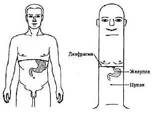 Рис 86 Соответствие желудку в системе насекомого При острых гастритных - фото 86