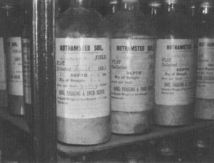 Rothamsted Research Archive PHOTO BY ALAN WEISMAN If they began in the oldest - фото 34