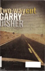 Garry Disher - Two-Way Cut