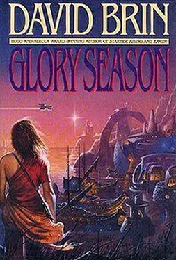 David Brin Glory Season обложка книги