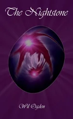 Wil Ogden - The Nightstone