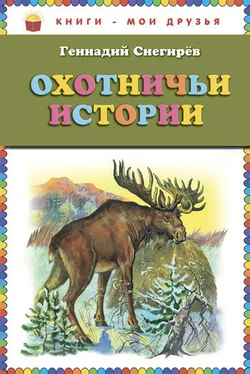 Геннадий Снегирев Охотничьи истории обложка книги