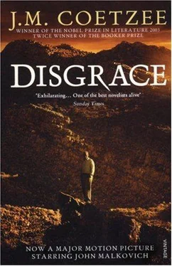 J. Coetzee Disgrace обложка книги