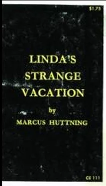 Marcus Huttning Linda's strange vacation обложка книги