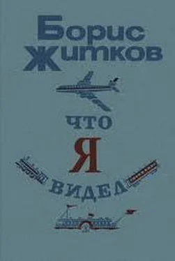 Борис Житков Что я видел (сборник) обложка книги