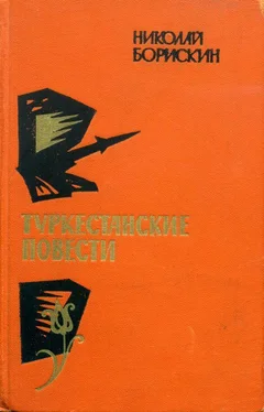 Николай Борискин Туркестанские повести обложка книги