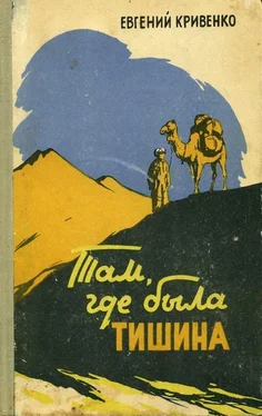 Евгений Кривенко Там, где была тишина обложка книги