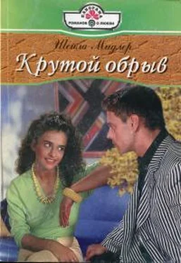 Шейла Мидлер Крутой обрыв обложка книги