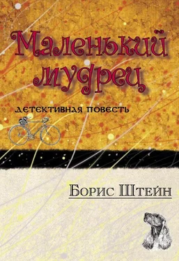 Борис Штейн Маленький мудрец обложка книги