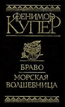 Джеймс Купер Браво, или В Венеции обложка книги