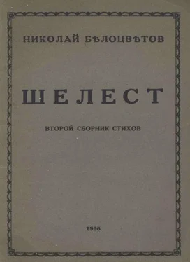 Николай Белоцветов Шелест. Вторая книга стихов обложка книги