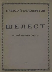 Николай Белоцветов - Шелест. Вторая книга стихов