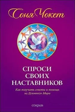 Соня Чокет Спроси своих наставников обложка книги