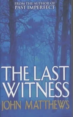 John Matthews The Last Witness обложка книги