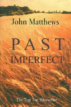 John Matthews Past Imperfect обложка книги