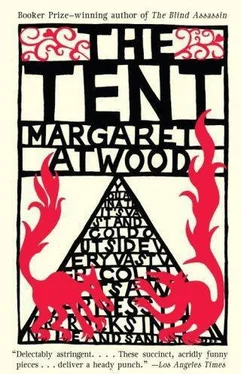 Margaret Atwood The Tent обложка книги