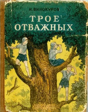 И. Винокуров Трое отважных обложка книги
