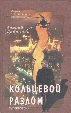 Андрей Добрынин Кольцевой разлом обложка книги