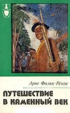 Арни Фалк-Рённе Путешествие в каменный век. Среди племен Новой Гвинеи обложка книги