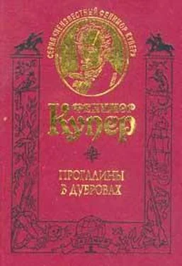 Джеймс Купер Прогалины в дубровах, или Охотник за пчелами обложка книги