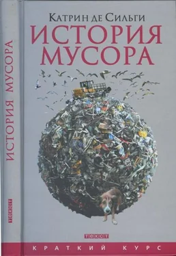 Катрин Сильги История мусора. обложка книги