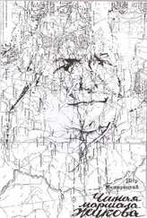 Петр Межирицкий - Читая маршала Жукова