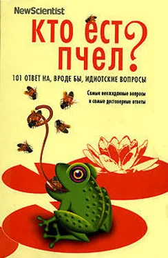 Мик О'Хара Кто ест пчел? 101 ответ на, вроде бы, идиотские вопросы обложка книги