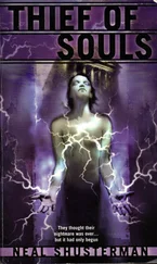 Нил Шустерман - Thief Of Souls