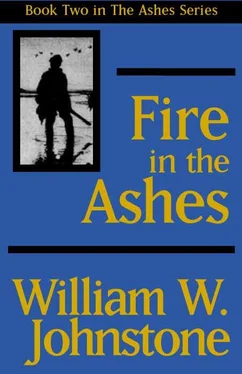 William Johnstone Fire in the Ashes обложка книги