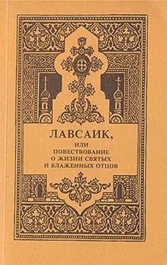 Палладий Еленопольский Лавсаик, или повествование о жизни святых и блаженных отцов